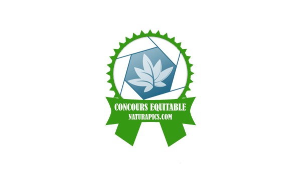 Logo equitable naturapics cceng 600x350